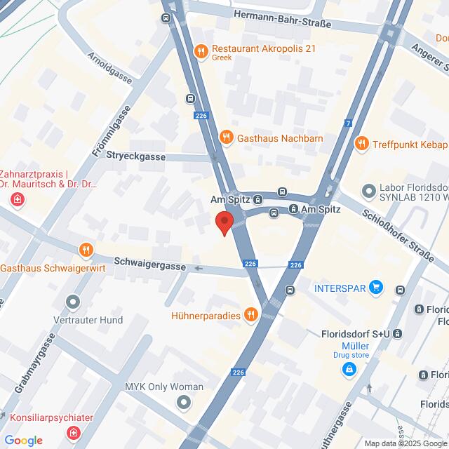 meinkarrierestart.at Eine digitale Karte, die die Kreuzung Am Spitz und Schwaigergasse in Wien, Österreich, zeigt, mit markierten Restaurants und Geschäften in der Nähe.